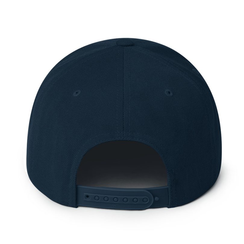 PLEZEM Legacy Cap - Image 3
