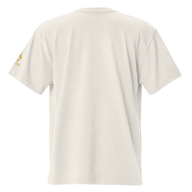 PLEZEM Purple Label  Oversized faded t-shirt - Image 14