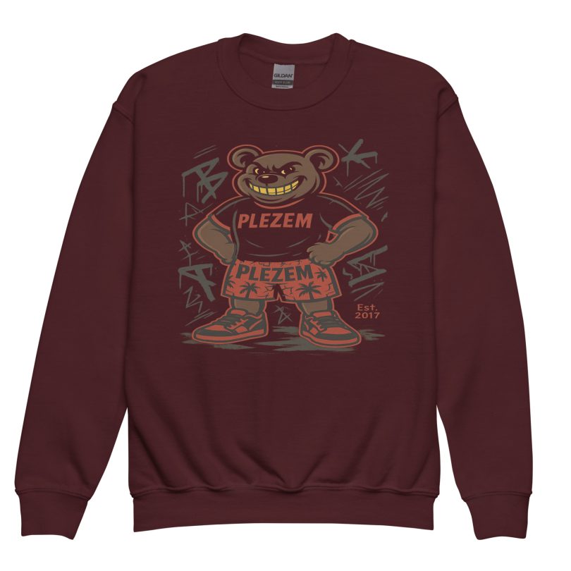 Plezem Kids Sweatshirt - Image 3