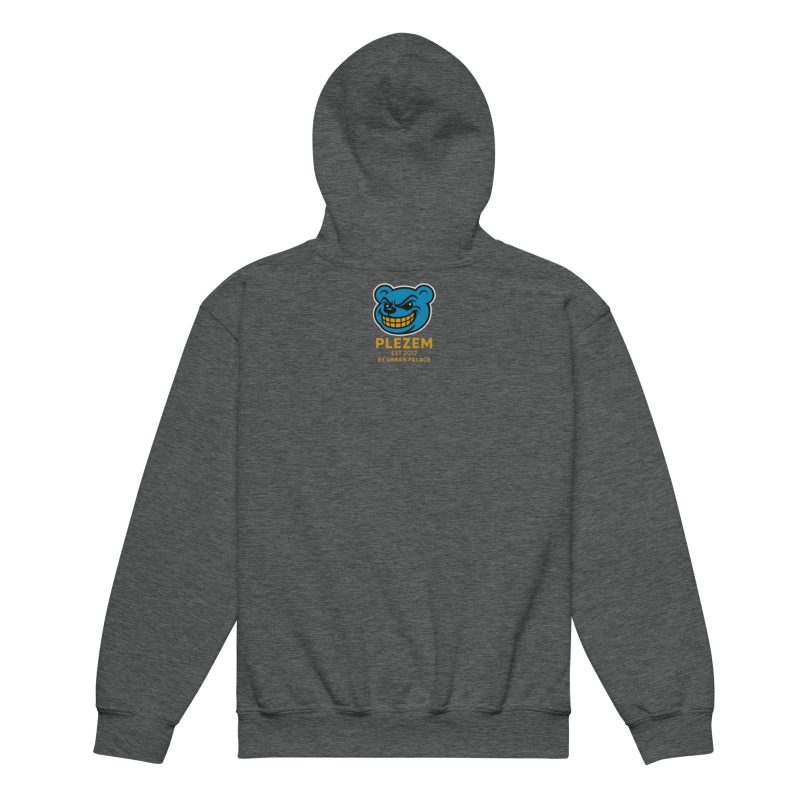 Plezem Kids Heavy Blend Hoodie - Image 6