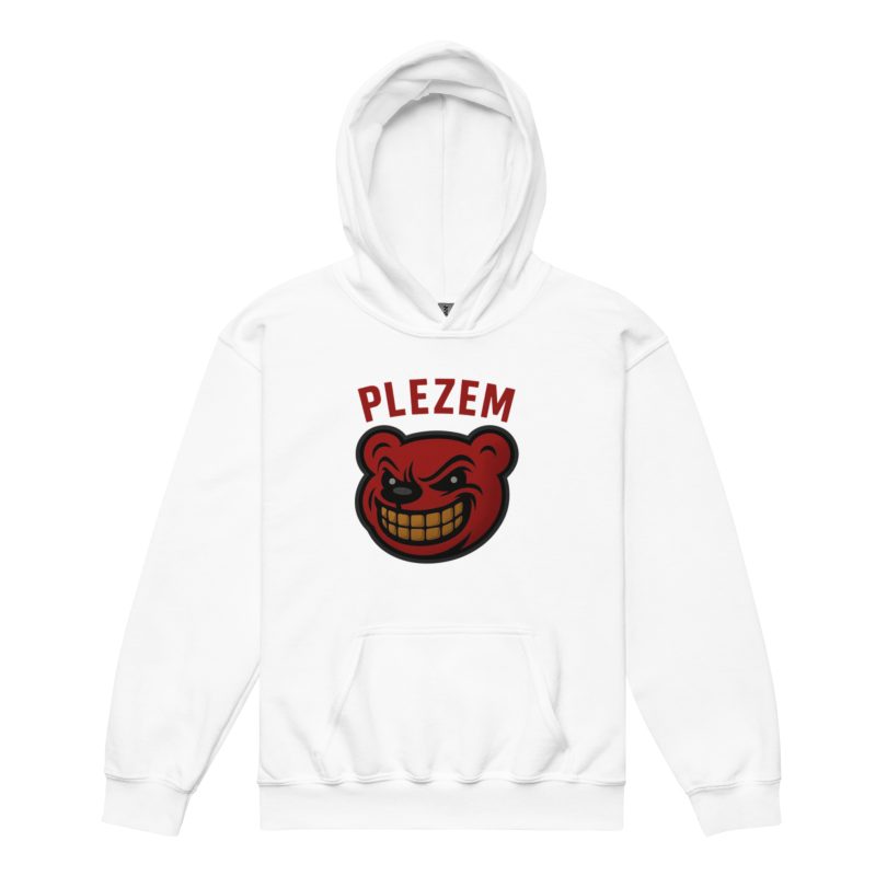 Plezem Kids Hoodie - Image 3