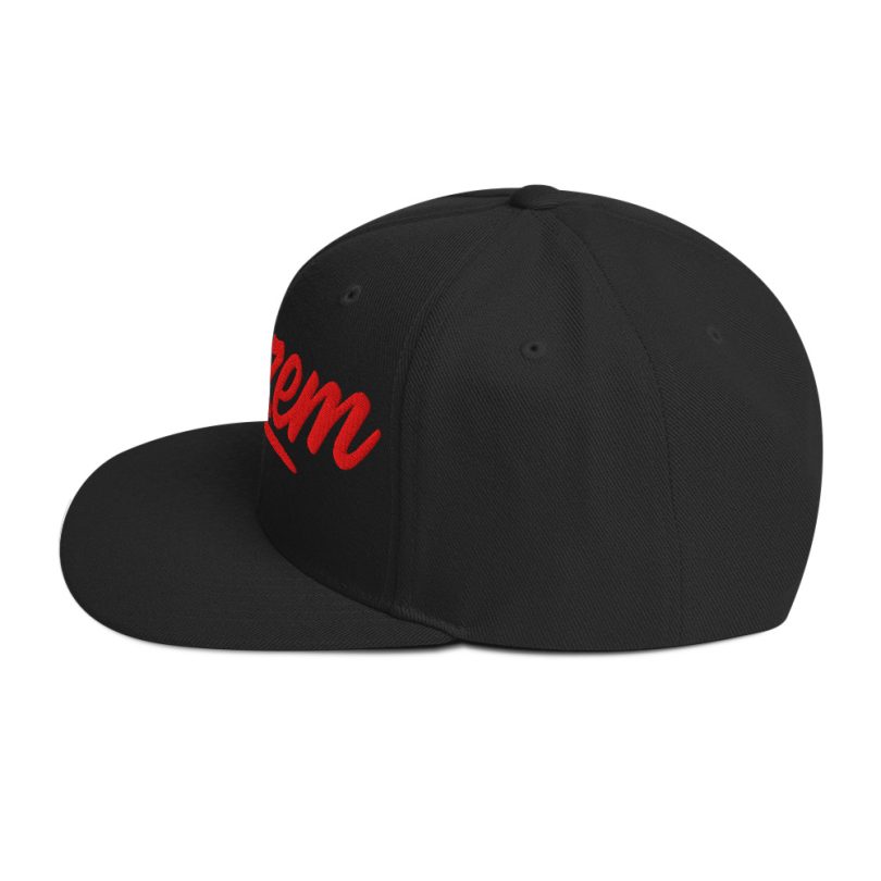 PLEZEM Legacy Cap - Image 4