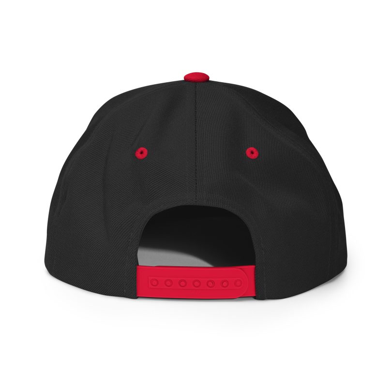 PLEZEM Legacy Cap - Image 9