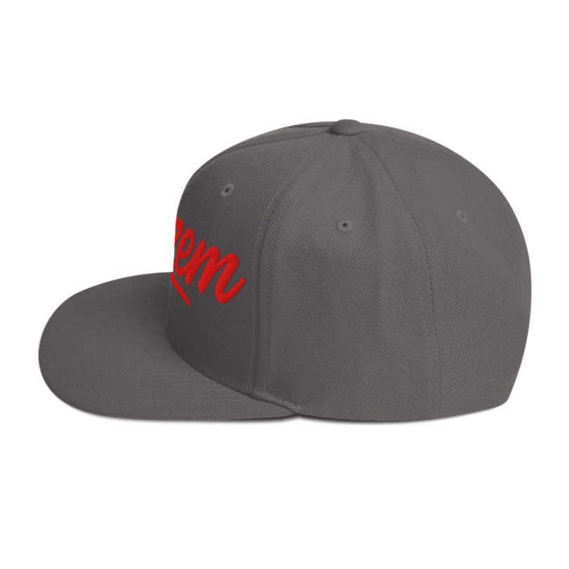 PLEZEM Legacy Cap - Image 19