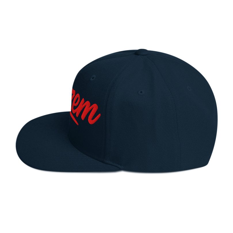 PLEZEM Legacy Cap - Image 3