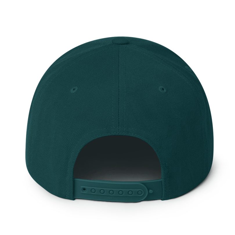 PLEZEM Legacy Cap - Image 14