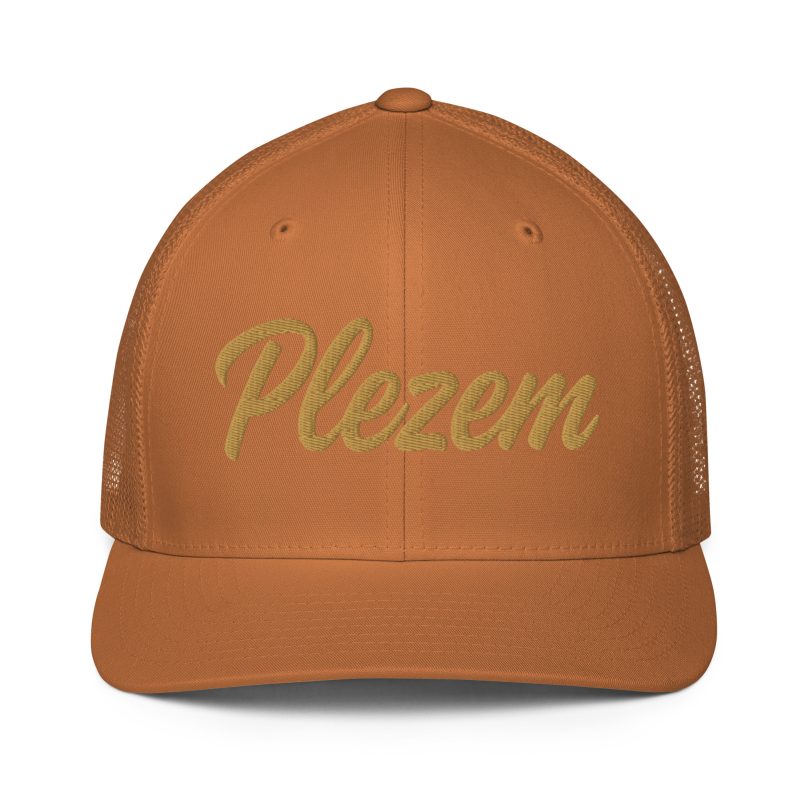 PLEZEM Legacy Cap - Image 7