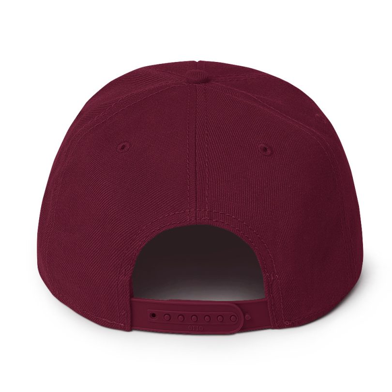 PLEZEM Legacy Cap - Image 3