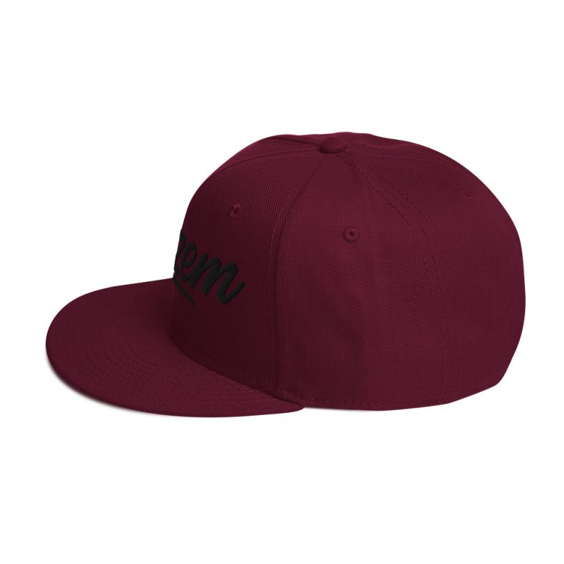 PLEZEM Legacy Cap - Image 4