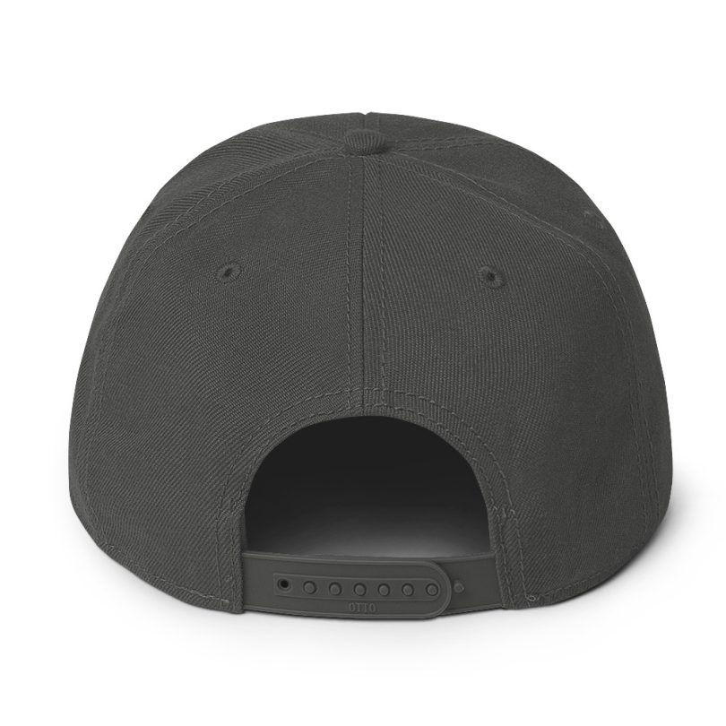 PLEZEM Legacy Cap - Image 14