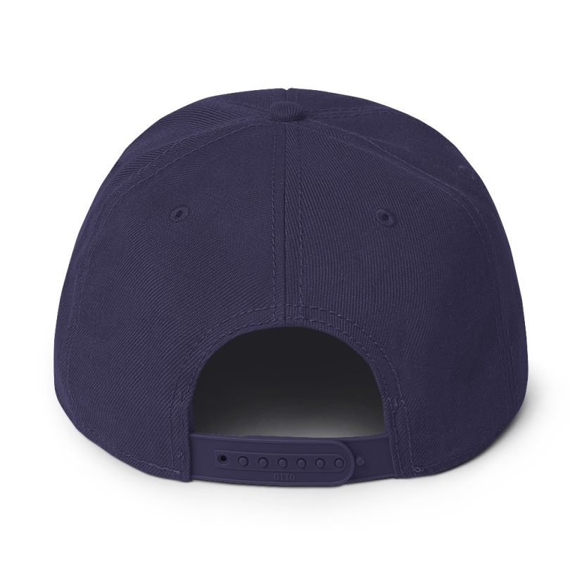 PLEZEM Legacy Cap - Image 7