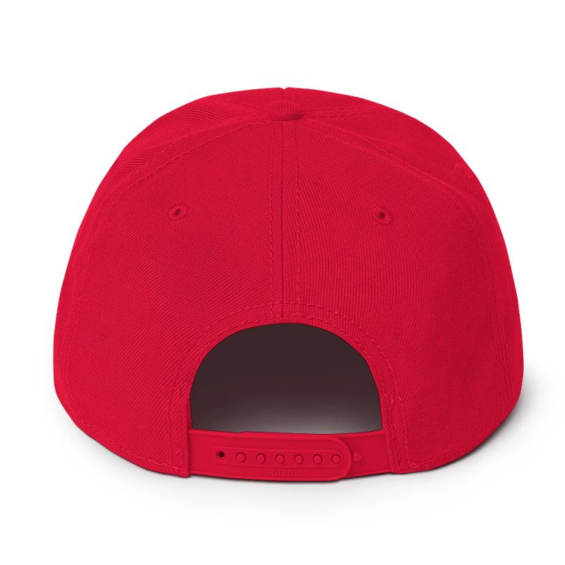 PLEZEM Legacy Cap - Image 10