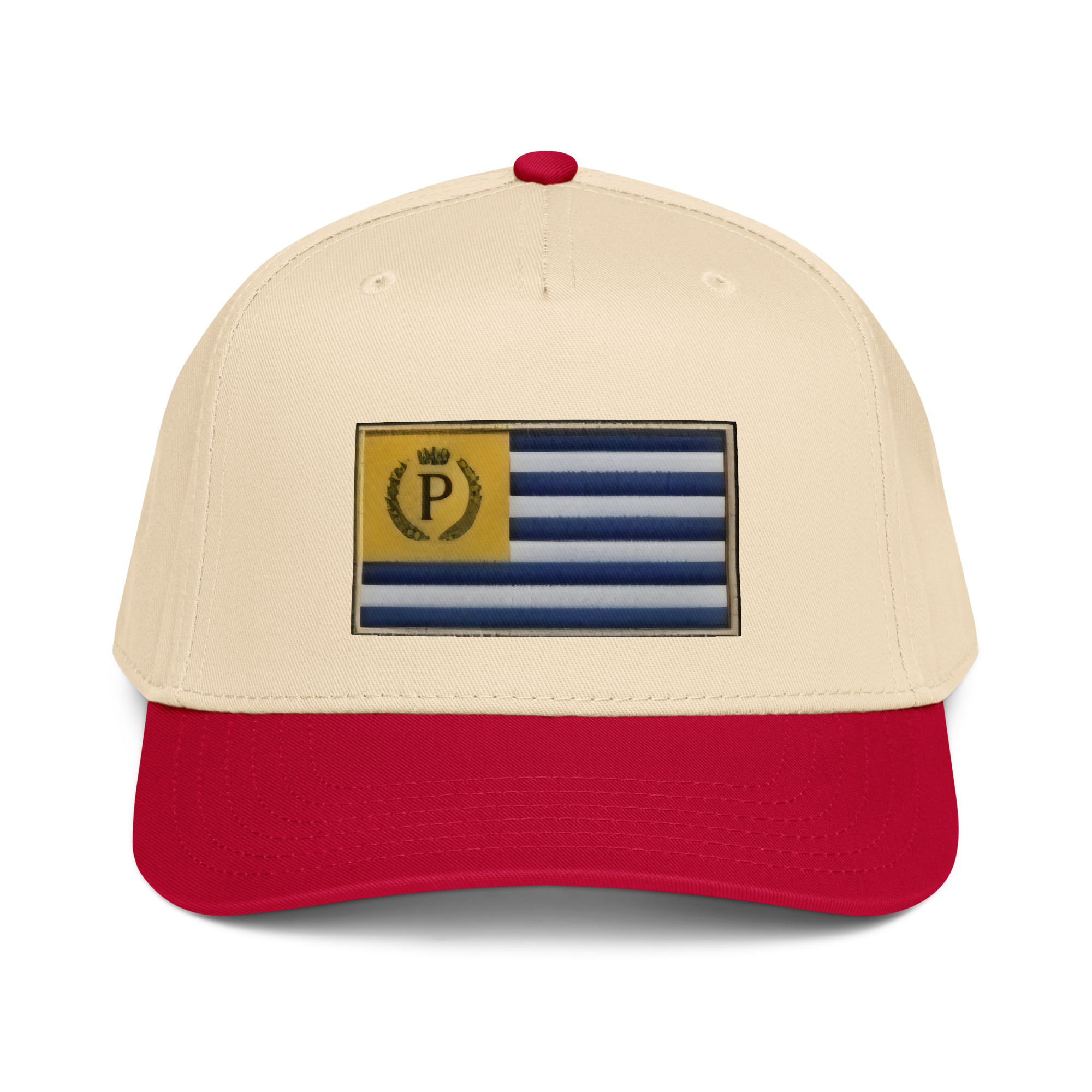 PLEZEM Flag Cap